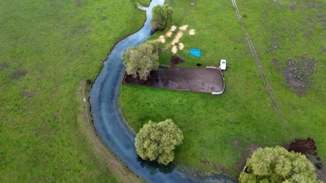 Konya'da masaldan çıkma, tablo gibi güzellik! Leylekler burada mola veriyor 1